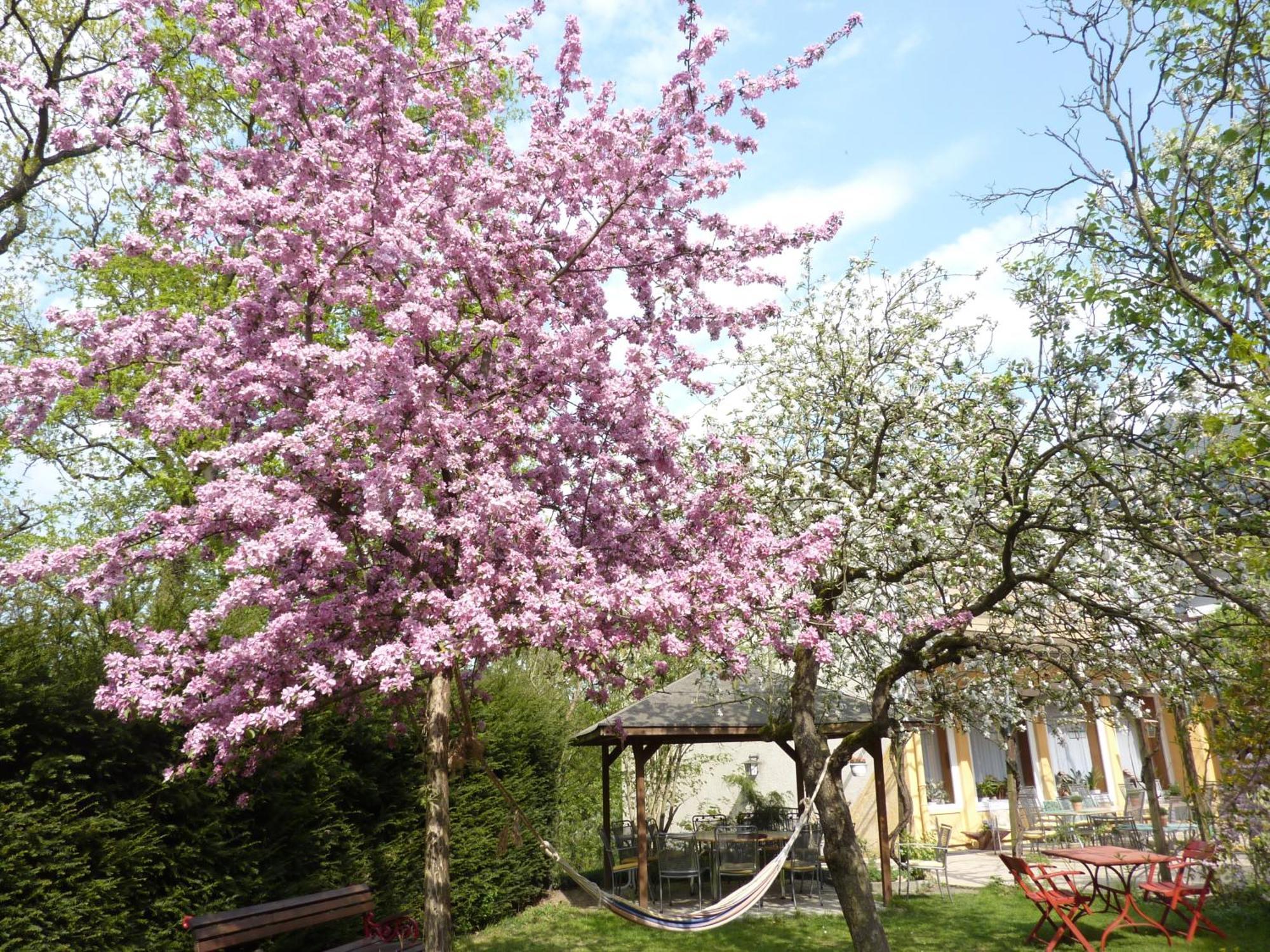 Oranien Hotel 2*